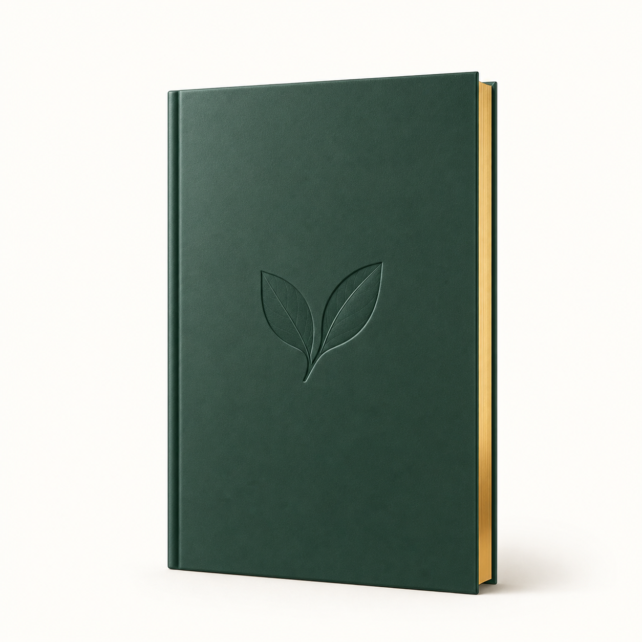 Complimentary Livana Liver Reset Protocol Guide