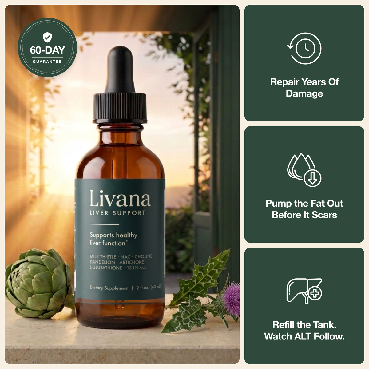 Livana Complete Liver Support