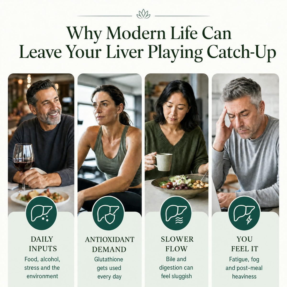 How daily inputs and antioxidant demand can leave the liver playing catch-up