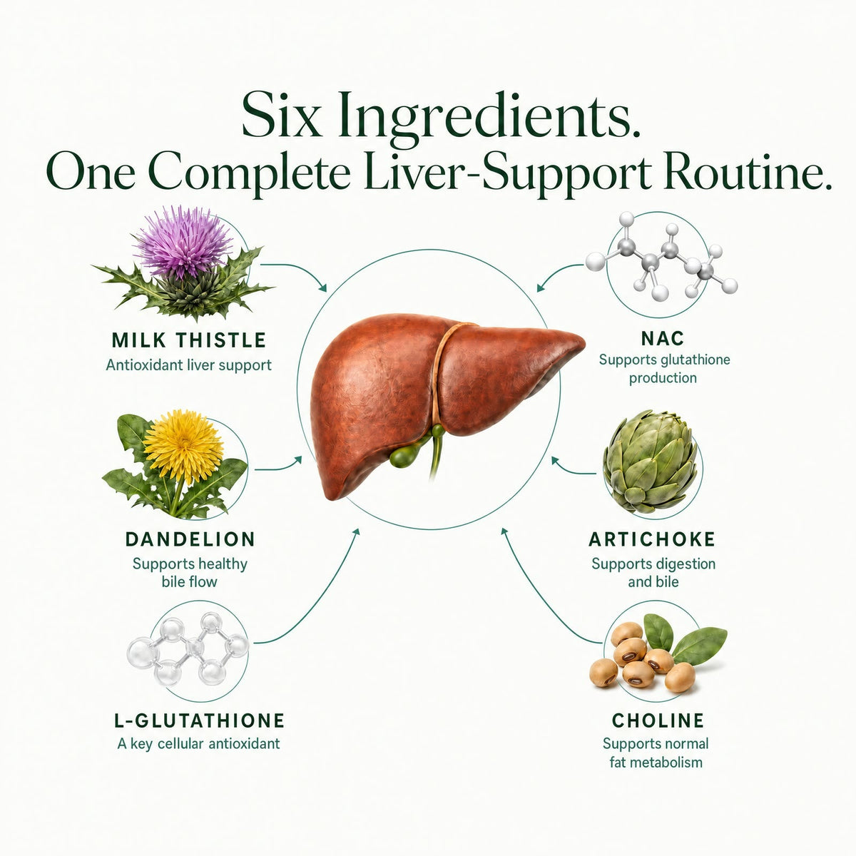 Six Livana liver-support ingredients and their roles