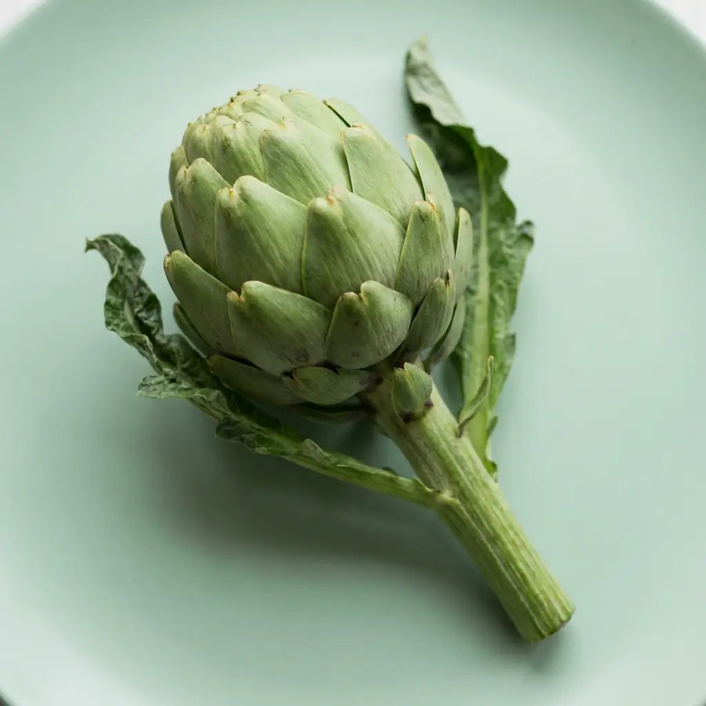 Fresh globe artichoke