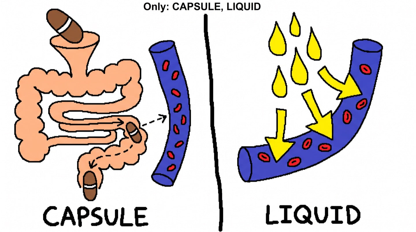 Crude marker diagram: a capsule winding through the gut with almost nothing reaching the blood, beside liquid drops going straight into the bloodstream