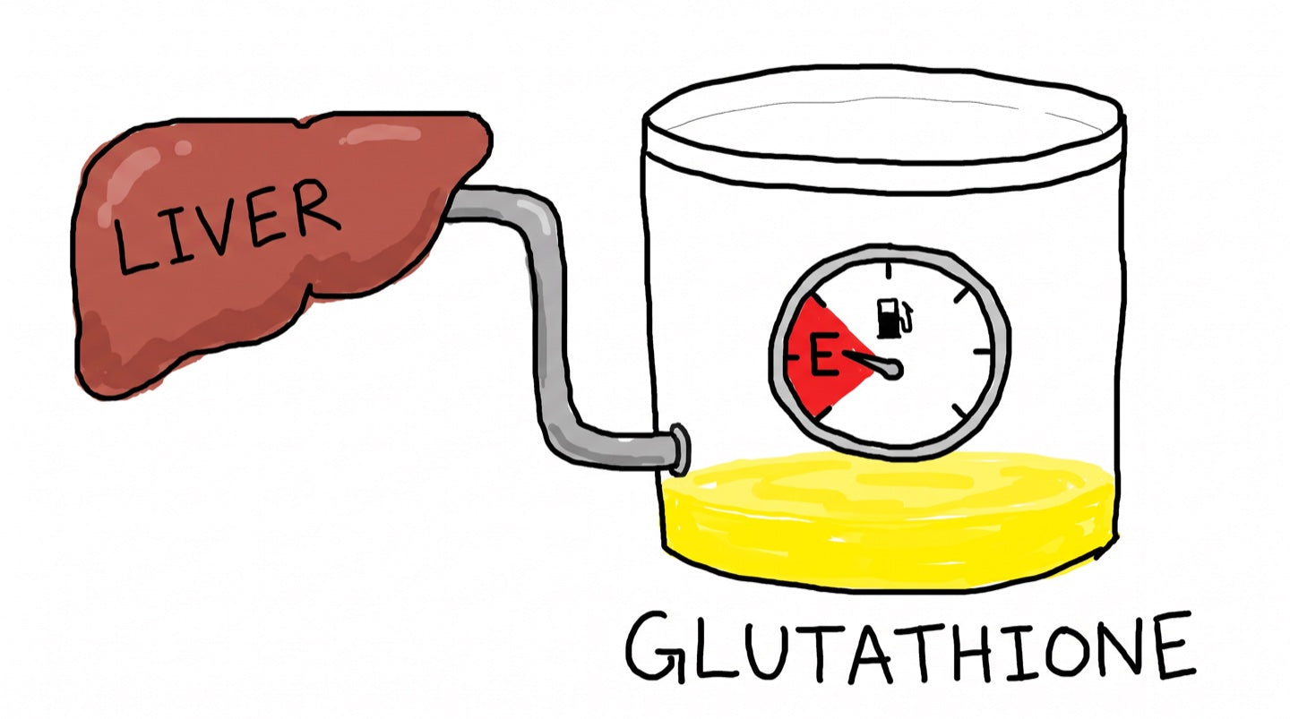 Hand-drawn diagram of a liver piped to a glutathione tank, the fuel gauge reading empty and only a shallow pool left inside
