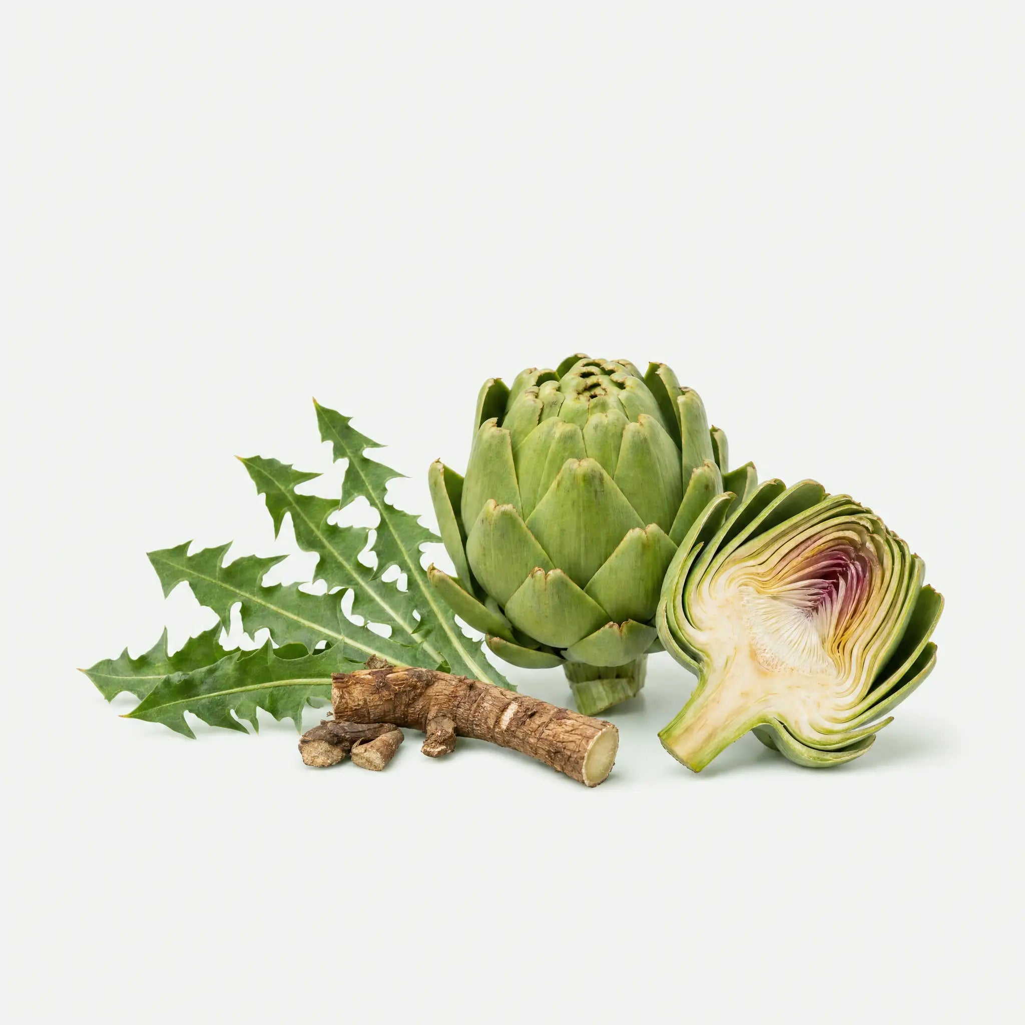 Fresh artichoke halved beside dandelion leaves and root