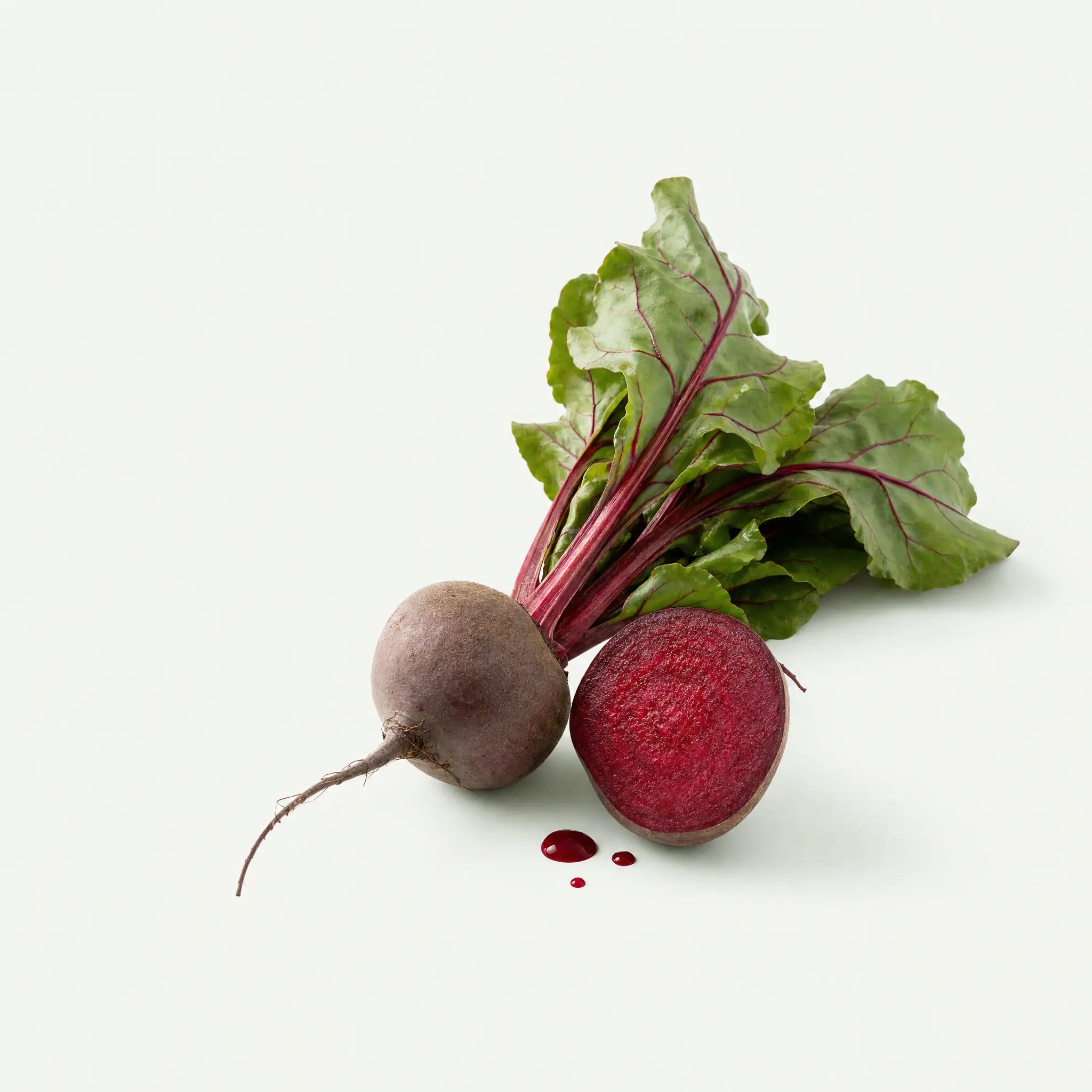 Fresh beet root with one half showing its rings