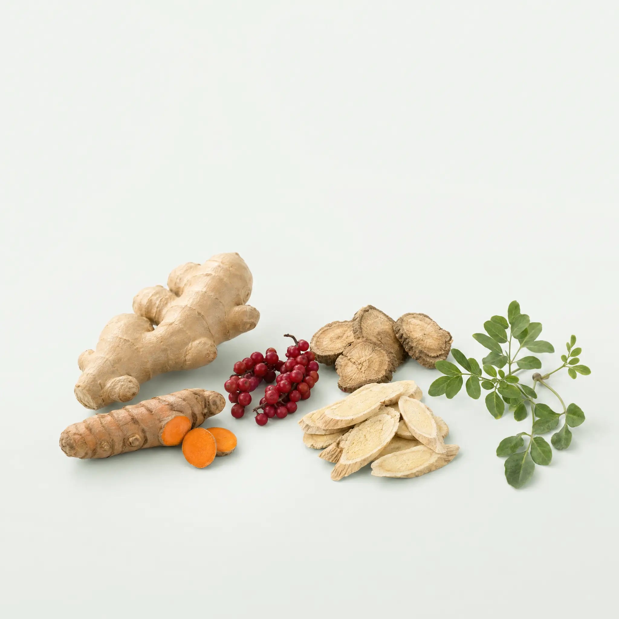 Ginger, turmeric, schisandra berries, burdock, astragalus, and chanca piedra arranged together