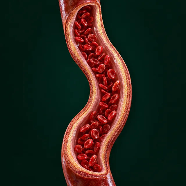 Clear artery with blood flowing freely
